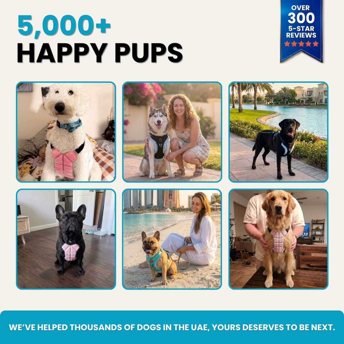 Pupsicle Harness