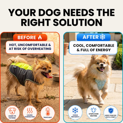 Pupsicle Harness