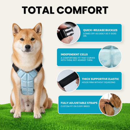 Pupsicle Harness